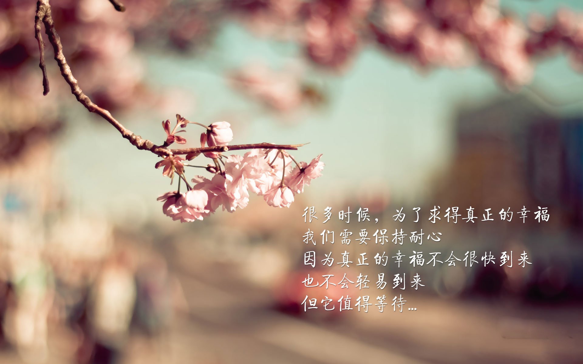 熊猫体育娱乐-是否应推动球员与高中篮球教练结对共建，篮球教练和家长沟通的方法
