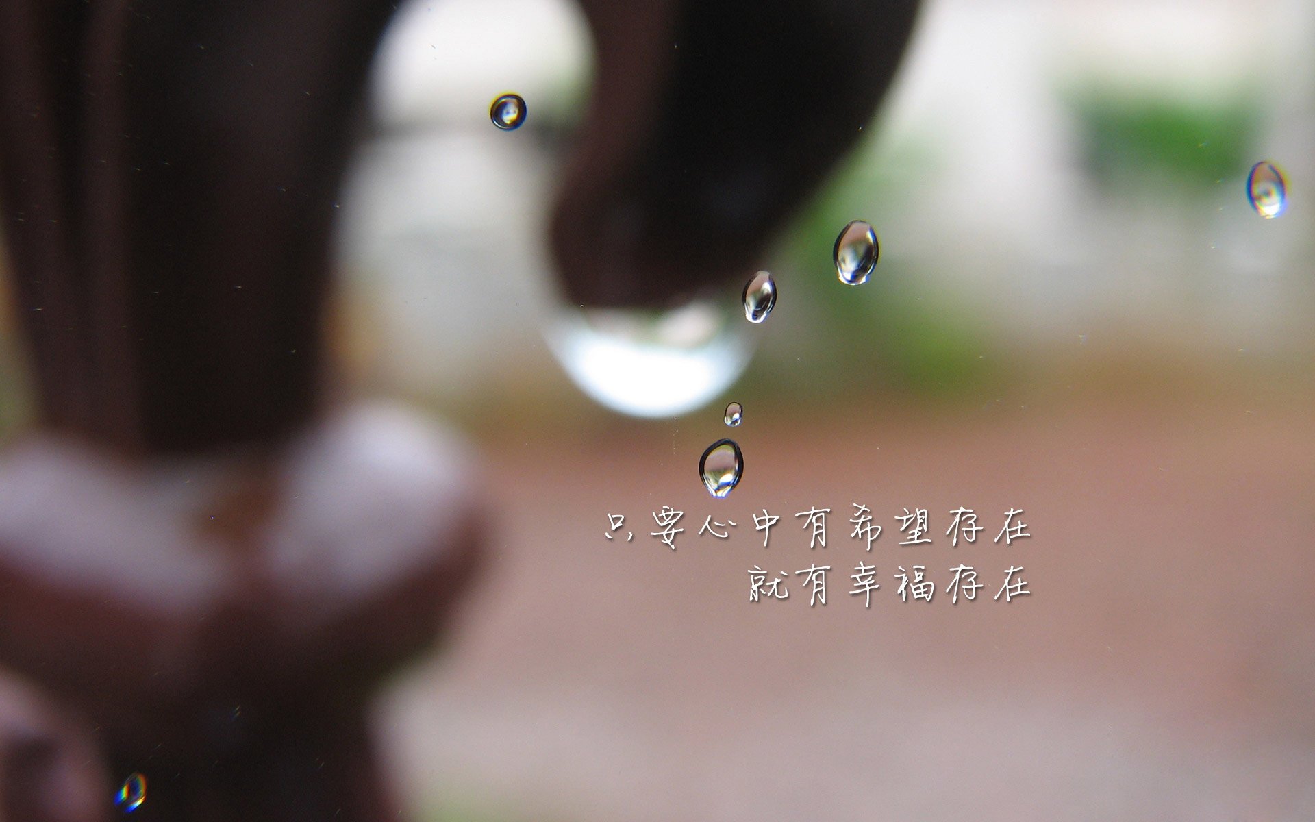 切尔西球迷庆祝夺冠场面壮观，切尔西球迷庆祝夺冠场面壮观图片