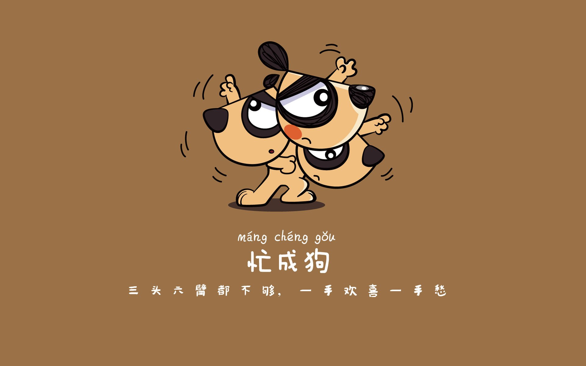 国际热身赛中国青年队晋级 球迷集体庆祝，足球国际热身赛