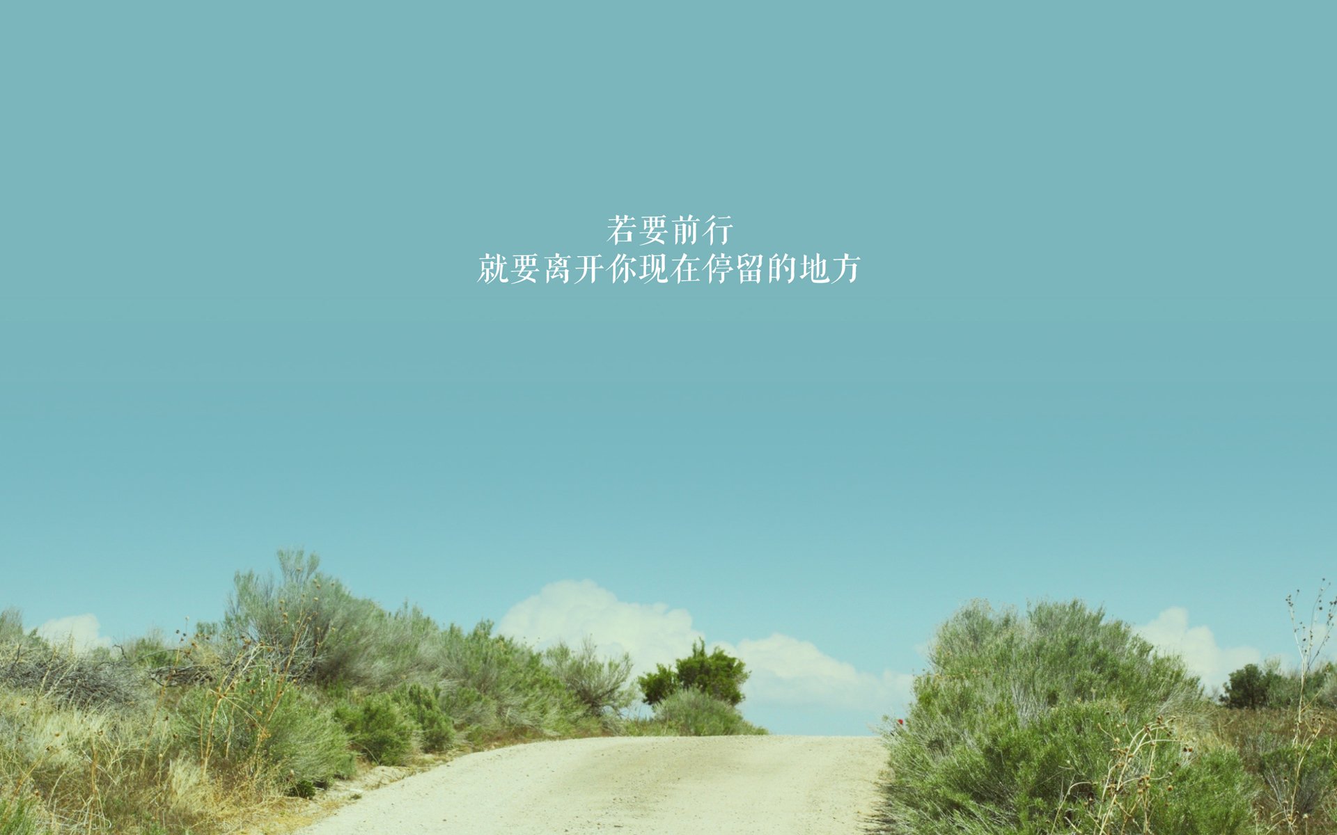 澳女队预赛发挥稳定全员晋级，澳女篮赛程