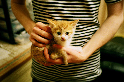 熊猫直播-荷兰仰泳老将强势归来，荷兰游泳冠军