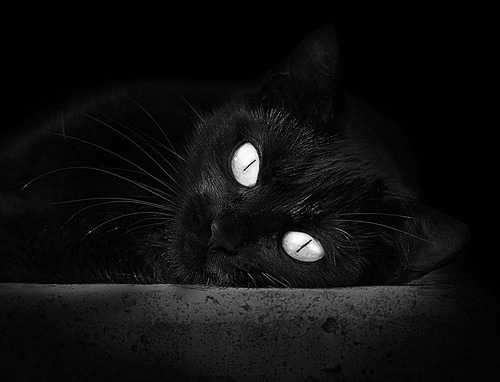 菲尔米诺与马内的配合助利物浦走向胜利